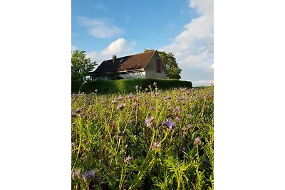 Ferienhaus Gransee / unmittelbar am