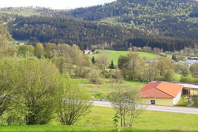 Vakantieappartement Gezinsvakantie Bodenmais