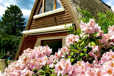 Vakantiehuis Ontspannende vakantie Lenzen