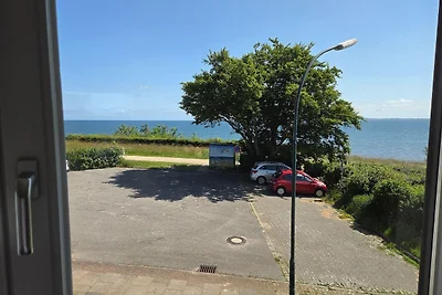 Hohes Ufer Möwennest