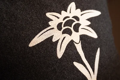 Appartement 4a " Waldkönig"