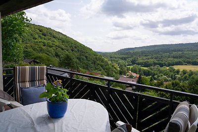 Vakantieappartement Gezinsvakantie Bad Wildungen