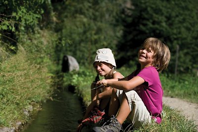 Appartamento Vacanza con famiglia Bolzano