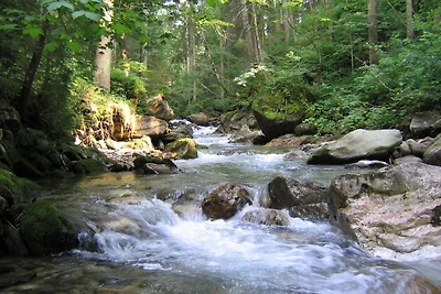 Ferienlodge Edelstein