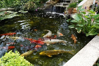 Ferienwohnung bis 4 Personen