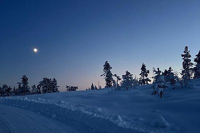 Vakantiehuis Ontspannende vakantie Telemark