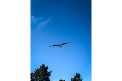 Vakantiehuis Ontspannende vakantie Glücksburg