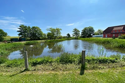 Vakantiehuis Ontspannende vakantie Hohenkirchen