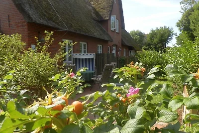 Pastoratshof - Whg.8