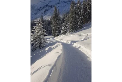 Vakantieappartement Gezinsvakantie Berwang