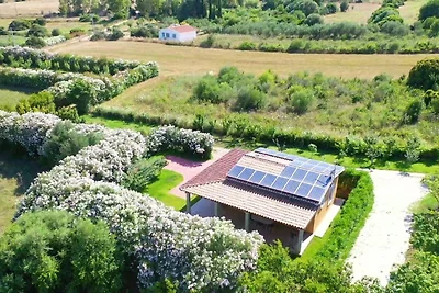 Vakantiehuis Ontspannende vakantie Nuoro