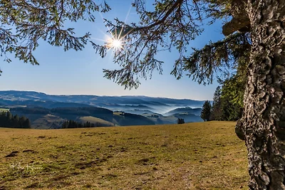 Schwarzwaldhaus Wiesenblick - App.