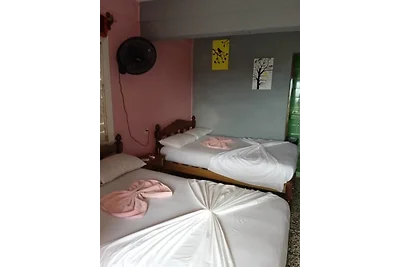 Casa Pinky Appartement 1