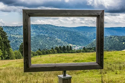 Vakantieappartement Gezinsvakantie Todtmoos