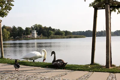 Appartamento Vacanza con famiglia Bansin