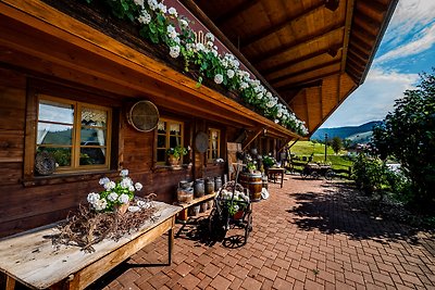 Vakantieappartement Gezinsvakantie Fröhnd