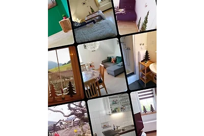 apartman za odmor Obiteljski odmor Baiersbronn