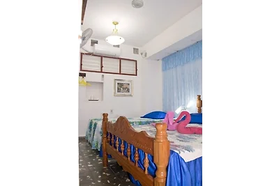 Hostal San Carlos Appartement 1