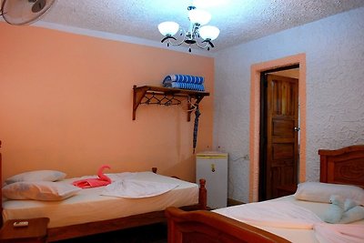 Vakantieappartement Gezinsvakantie Vinales