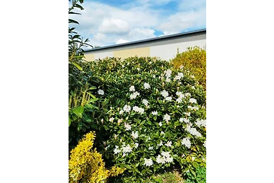 Ferienhaus / Ferienwohnung