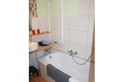 Seestern am Hafen - ABC139