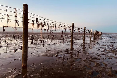 Ferien im Wangerland - Haus