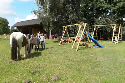 Bauernhof Sauer - Wiesenblick