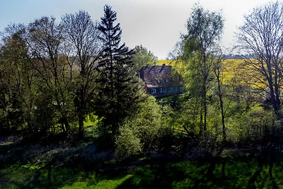 Planquadrat Glück - Die EINSAME