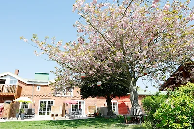 Achtern Diek - Bauernhof "Hofbude