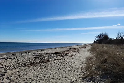 Urlaub unterm Reetdach