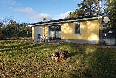 Bodden Paradise Cottage