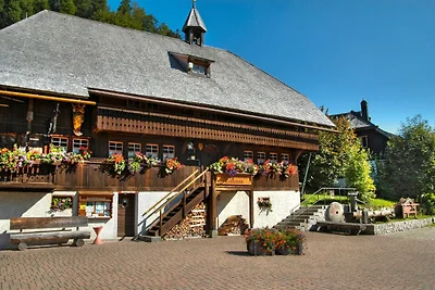 Appartamento Vacanza con famiglia Titisee-Neustadt