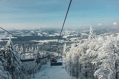 Vakantieappartement Gezinsvakantie Klaffer am Hochficht