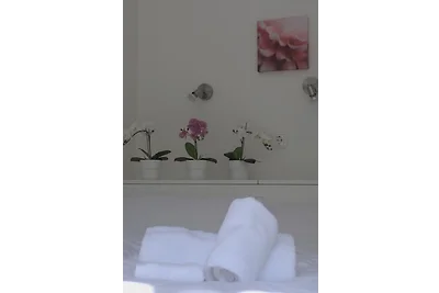 Woonboot Single-vakantie Höxter