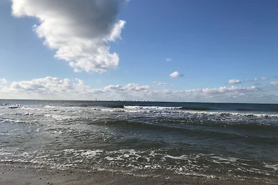 Sylter Rose 3a - strandnahe