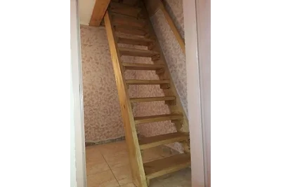 1 Zimmer Apartment "Rhumeblümchen"
