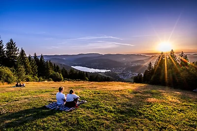Vakantiehuis Ontspannende vakantie Lenzkirch