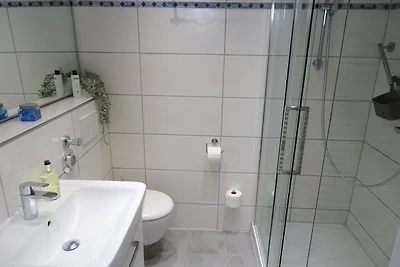 Berolina D 232 - Sturmmöwe