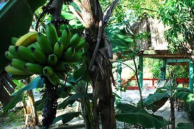 Vakantieappartement Gezinsvakantie Pinar del Rio