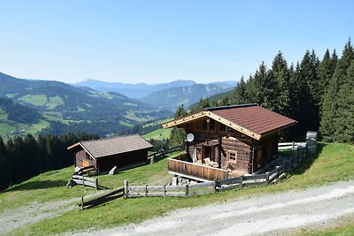 Vakantiehuis Ontspannende vakantie Wildschönau