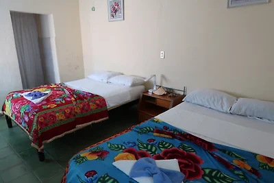 Casa Franco Appartement 1