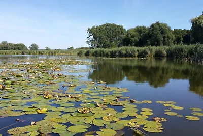 Hausboot, schwimmendes Ferienhaus