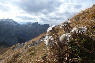 Vakantieappartement Gezinsvakantie Ofterschwang