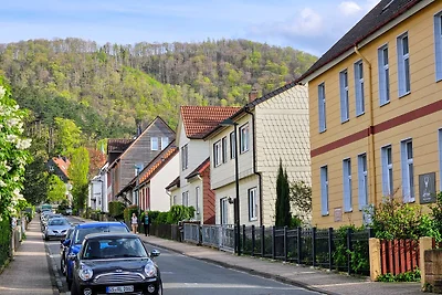 Appartamento Vacanza con famiglia Bad Harzburg