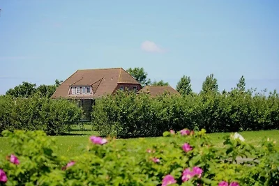 Hus Pellworm 3 - Ferienwohnung