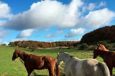 Vakantieappartement Gezinsvakantie Lohme