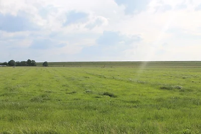 Casa vacanze Vacanza di relax Butjadingen