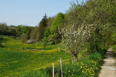 Vakantiehuis Ontspannende vakantie Schleiz