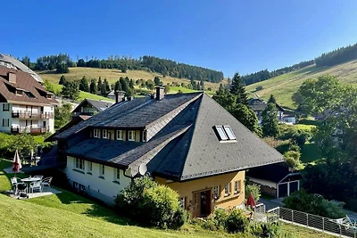 Appartamento Vacanza con famiglia Todtnau