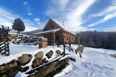 Vakantiehuis Ontspannende vakantie Reichenfels